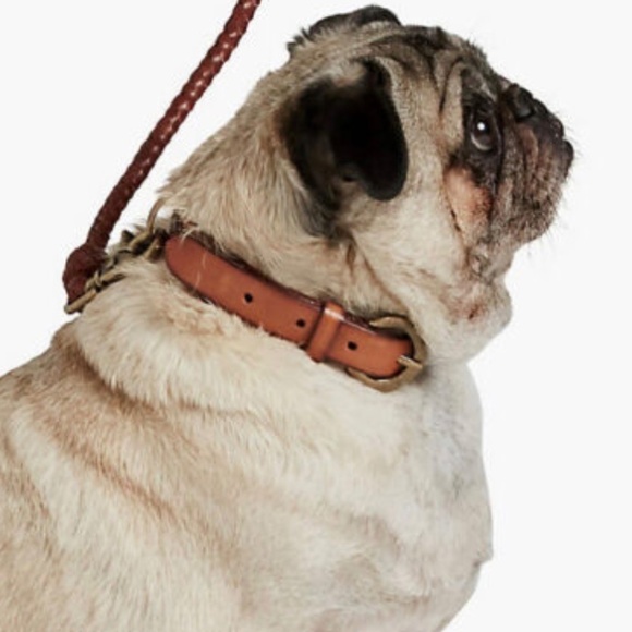lucky brand Other - LUCKY BRAND Whipstitch Dog Collar Leather M NWT